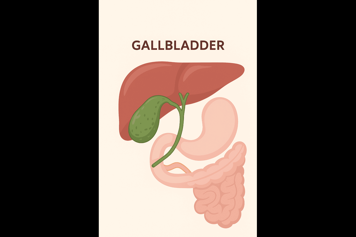 Gallbladder Surgery (Cholecystectomy)